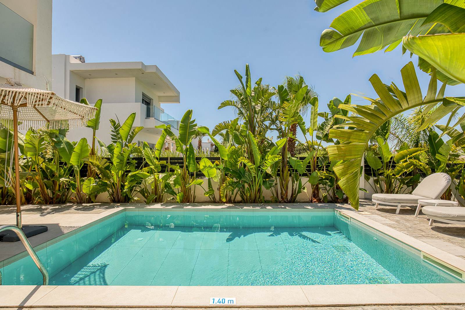 The shared pool and garden at the Rea residence